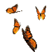 butterfly icon